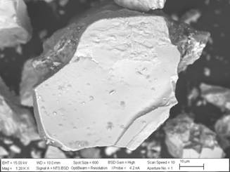 SEM image from the leaching residue of the -53+38 µm particle size concentrate without pre-treatment.