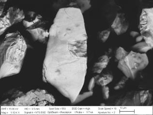 SEM image from the leaching residue of the -53+38 µm particle size concentrate pre-treated with 5% of HCl.
