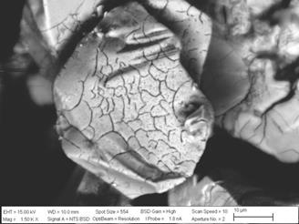 SEM image from the leaching residue of the -53+38 µm particle size concentrate pre-treated with 15% of HCl.