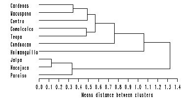 Dendrogram with the Euclidean distance of 10 municipalities in the state of Tabasco in which ULO was collected.