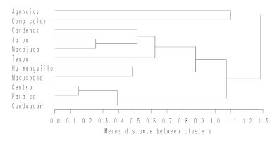 Dendrogram with the Euclidean distance of 10 municipalities in the state of Tabasco in which the quality of ULO was evaluated, based on four quantitative variables.