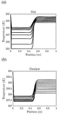 Macroscopic and population balances for the simulation of surface reactions