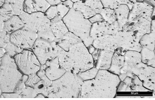 Micrography of the Ti specimen manufactured by the forge.