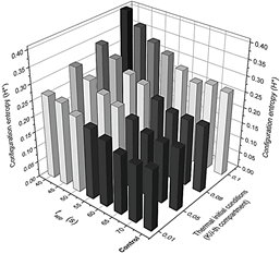 Detailed configuration entropy values reached by the system after being stimulated thermally by a pulse of 323.9 K. Pulse applying time and the slope of the thermal linear gradient were varied successively according to values reported in Table 2. Figures 6 and 7 are a 3D representation of the same 2D phase diagram presented in Fig. 3a.