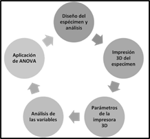 Etapas en el desarrollo del análisis de varianza para el espécimen.
