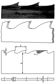 Geometry digitalized of the saw blade
