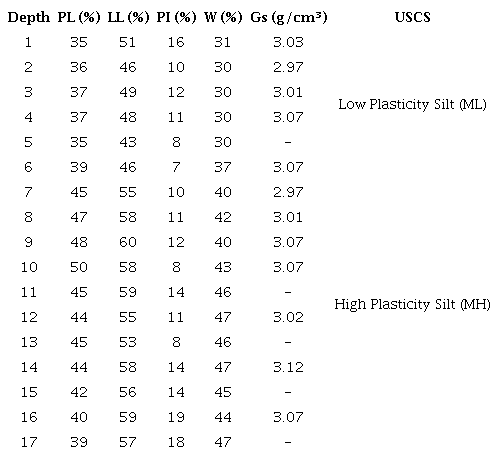 Laboratory tests results from SPT-T soil samples.