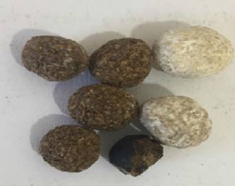 Bolas de hierbas hechas a mano usadas como drogas para mejorar el desempe&ntilde;o sexual que fueron adulteradas con sildenafil, tramadol y diazepam.