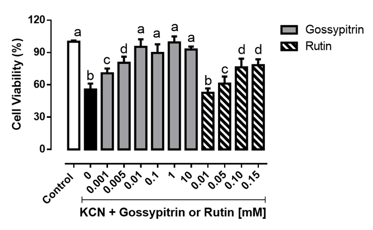 Protective effects of gossypitrin or rutin (reference compound) against cyanide-induced
  chemical hypoxia in PC12 cells.