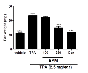 Effect of oral
administration of the ethanolic extract of Paeonia
mascula (EPM)on mouse ear edema
induced by repeated application of TPA.