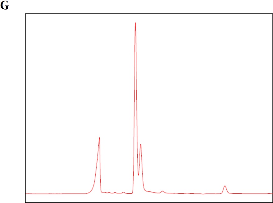 (A)
  Cromatograma blanco fase m&oacute;vil (agua tipo 1); (B) cromatograma est&aacute;ndar 1-kestosa; (C) cromatograma est&aacute;ndar de nistosa; (D) cromatograma est&aacute;ndar de
  1-fructofuranosilnistosa; (E)
  cromatograma mezcla de est&aacute;ndares primarios de FOS; (F) cromatograma est&aacute;ndar secundario FOS (MP FOS LOTE
  1501010101); (G) cromatograma
  blanco de helado prebi&oacute;tico; (H)
  cromatograma helado prebi&oacute;tico con FOS 15%.