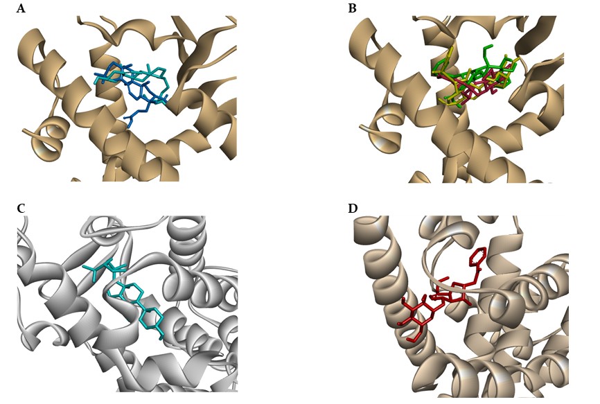 Binding modes for the active constituents of Nyctanthes arbor-tristis L.