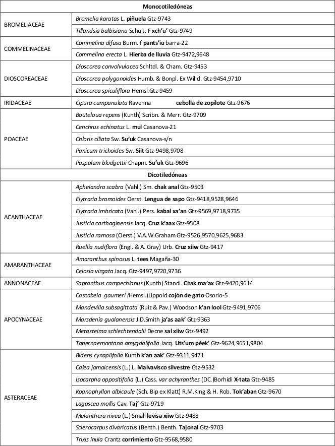 Lista
flor&iacute;stica de Xmatkuil, M&eacute;rida, Yucat&aacute;n 

Nota: (+)=
esp&eacute;cies end&eacute;micas, (Gtz)=Celso Guti&eacute;rrez B.
