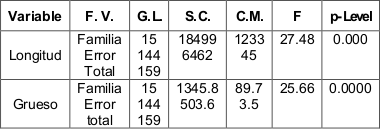 An&aacute;lisis de varianza de longitud y grueso
de conos.