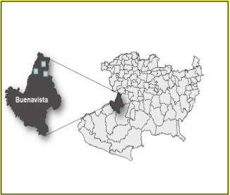 Ubicaci&oacute;n de las tres plantaciones comerciales de E.camaldulensis, evaluadas en el municipio de Buenavista,
Michoac&aacute;n.