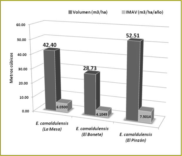 Volumen e IMAV de tres
plantaciones comerciales de Eucalyptus
camaldulensis Dehnh. , evaluadas en el municipio de
Buenavista, Michoac&aacute;n.