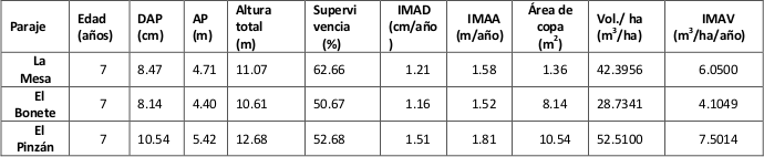 Datos promedio obtenidos de las variables
cuantitativas de las tres plantaciones comerciales de Eucalyptus camaldulensis, establecidas en el municipio de
Buenavista, Michoac&aacute;n. DAP=
Di&aacute;metro normal a 1.30 m. AP.= Altura de
poda. IMAD.= Incremento Medio Anual en Di&aacute;metro. IMAA.= Incremento Medio Anual
en Altura, IMAV.= Incremento Medio Anual en Volumen.