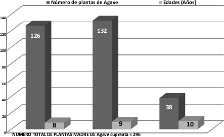 Número total de plantas
madres seleccionadas en los dos rodales semilleros de Agave cupreata,
establecidos en el Ejido Axaxacualco, municipio de Eduardo Nerí,
estado de Guerrero. 

 
