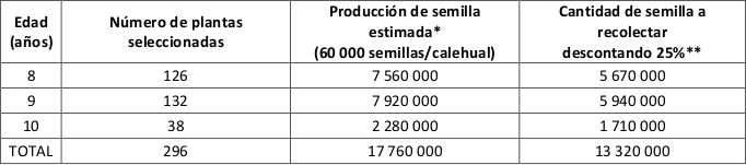 Estimación de la producción de semilla del rodal semillero
de Agave cupreata
establecido en el Ejido Axaxacualco, municipio de Eduardo Nerí,
estado de Guerrero. Fuente: *Illsley et al., 2005. ** Semilla que se dejará en la planta madre para la regeneración natural
del rodal.