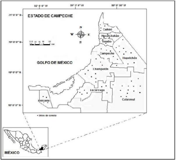 Área de trabajo de campo en
el estado de Campeche.  ●Sitios de muestreo