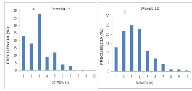 Distribuci&oacute;n de frecuencias
por categor&iacute;a de distancias cuando los &aacute;rboles son del mismo g&eacute;nero
(pino-pino); a) y cuando los &aacute;rboles son de g&eacute;nero diferente (encino-pino); b),
en una fracci&oacute;n de la Sierra de San Carlos, Tamaulipas.