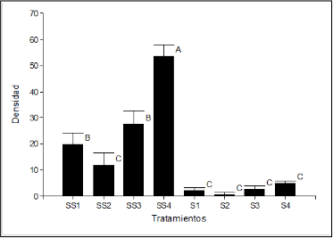 Densidad de malezas
para los diferentes sustratos sin solarizar (SS) y solarizados (S) registrado a
los 50 d&iacute;as de la postsolarizaci&oacute;n. Medias con una
letra com&uacute;n no son significativamente diferentes (p > 0.05).