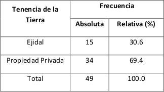 Distribuci&oacute;n de los productores de cacao (Theobroma cacao L.) seg&uacute;n tenencia de la tierra. 

 