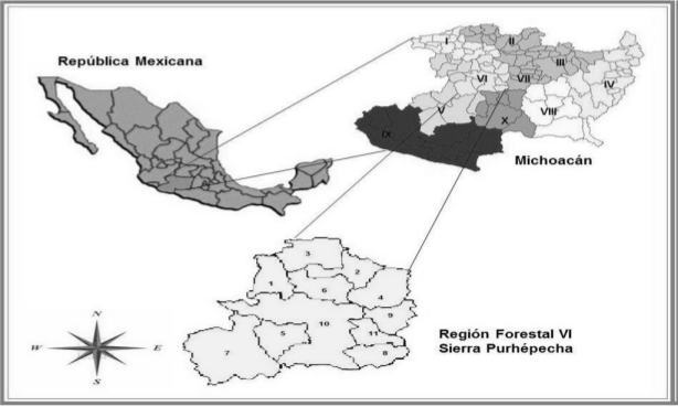 Ubicaci&oacute;n de la Regi&oacute;n Forestal VI Sierra Purh&eacute;pecha,
de acuerdo a la regionalizaci&oacute;n de la Comisi&oacute;n Forestal del Estado de Michoac&aacute;n
(COFOM, 2008). 

 