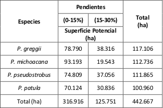 
Superficie potencial (ha), en pendiente de 0-15% y pendiente de 15-30% para
plantaciones forestales comerciales en la Sierra Purh&eacute;pecha, Michoac&aacute;n con Pinus pseudostrobus Lindl, P. michoacana var. cornuta Mart&iacute;nez, P. patula Schl.
et Cham. y P. greggii Engelm. 

 