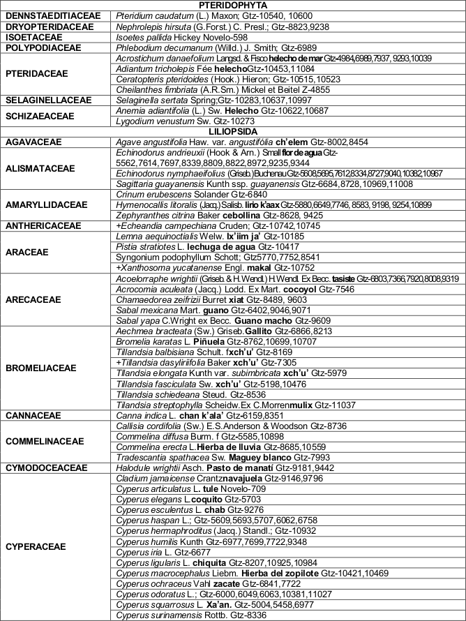 Listado florístico de Campeche México.