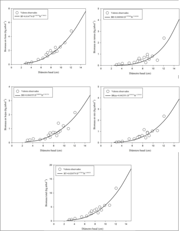 Graficas de dispersión de
biomasa para Pinus cooperi blanco y línea de regresión ajustada para: a) fuste, b) ramas, c) hojas, d) raíz y
e) total.