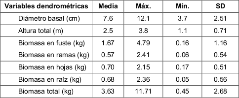 Estadísticas descriptivas de las variables empleadas para el ajuste de
ecuaciones de biomasa para Pinus cooperi blanco.