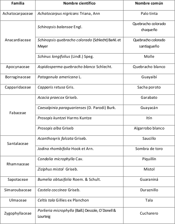 Especies del estrato arb&oacute;reo
y arbustivo.