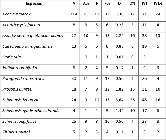 C&aacute;lculos de &iacute;ndices de la
estructura horizontal.