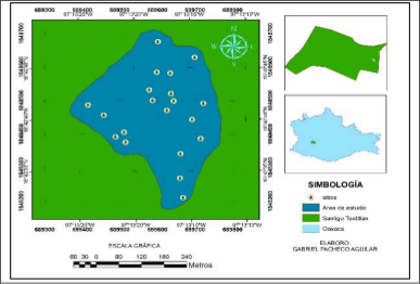  Ubicación del área de estudio.