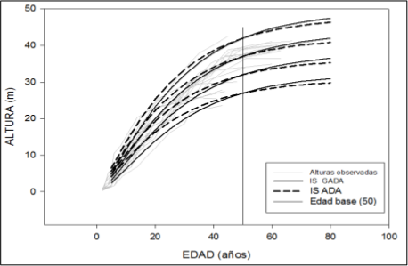 Comparación de las curvas de índice de sitio por
diferencias algebraicas (ADA) y diferencias algébricas generalizadas.