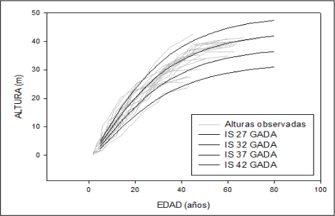 Curvas polimórficas de
índice de sitio por el método de ecuaciones algebraicas generalizadas.