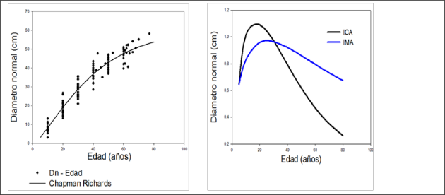 Gráfica de funciones de crecimiento del modelo de Chapman-Richards.