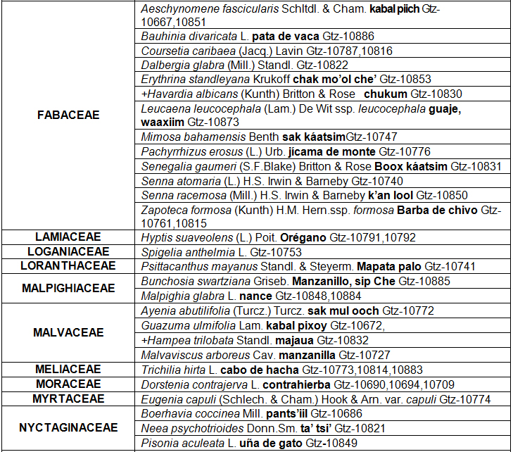 Listado florístico de Imí, Campeche (96
spp)