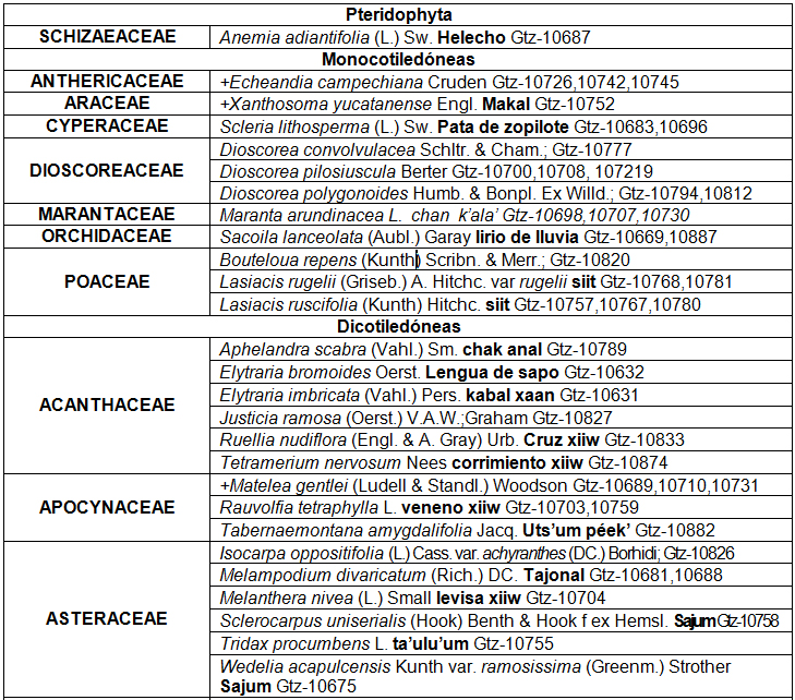 Listado florístico de Imí, Campeche (96
spp)