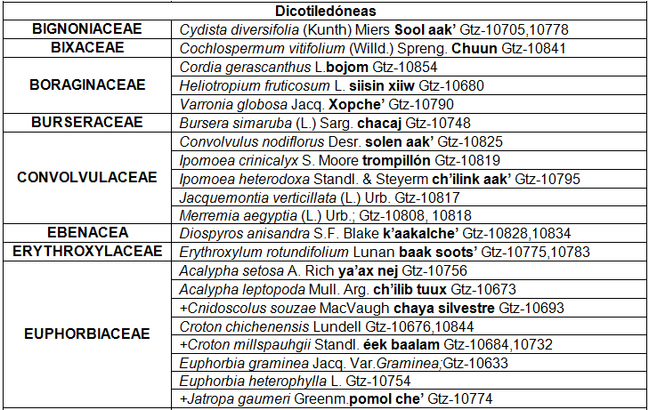 Listado florístico de Imí, Campeche (96
spp)
