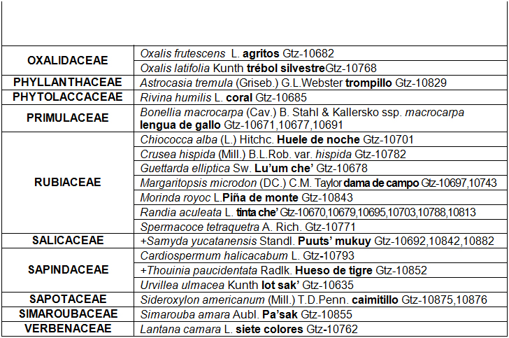 Listado florístico de Imí, Campeche (96
spp).