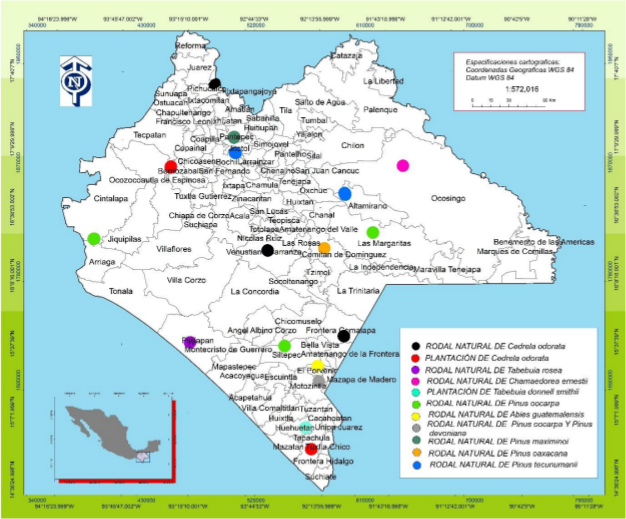 Mapa de distribución de rodales y especies seccionadas
para la producción de semilla y su conservación en Chiapas, México.