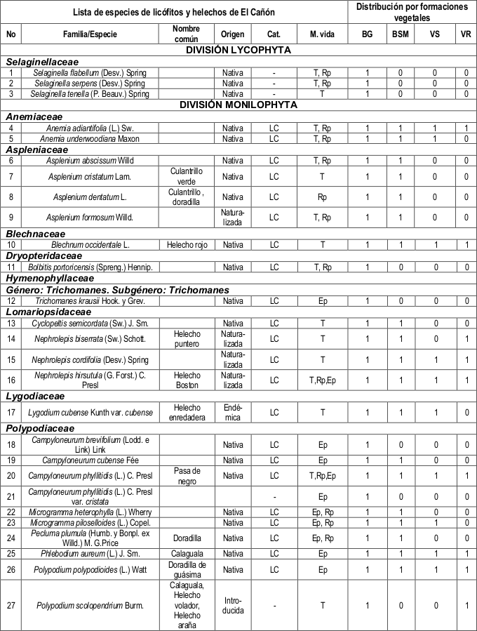 Listado de especies de lic&oacute;fitos y helechos de El Ca&ntilde;&oacute;n.