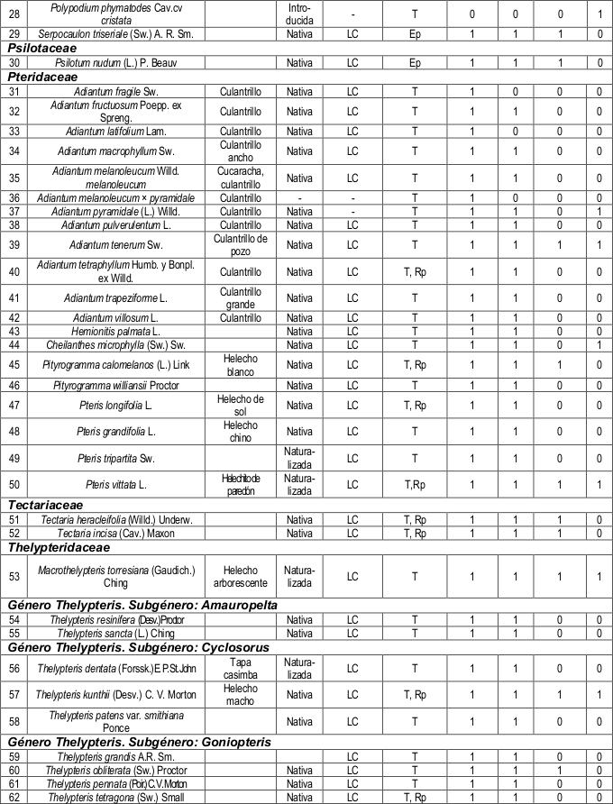Listado de especies de lic&oacute;fitos y helechos de El Ca&ntilde;&oacute;n.