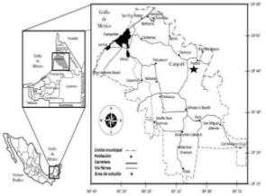 Localizaci&oacute;n del &aacute;rea de estudio.