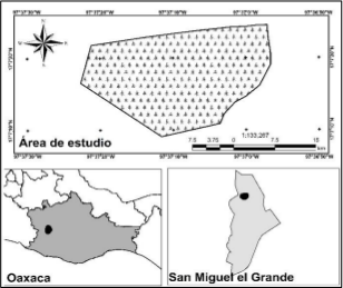 Ubicación geográfica del área de estudio.