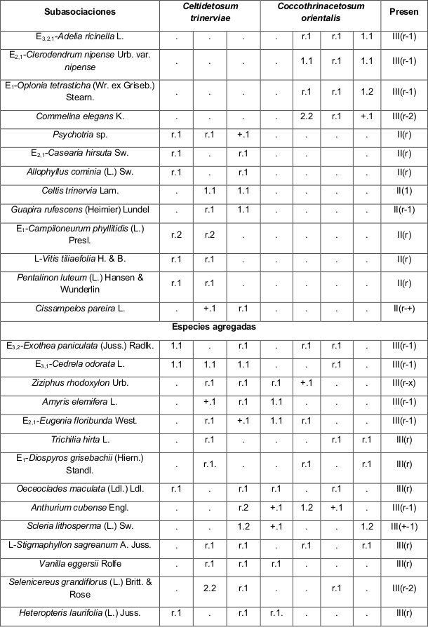 Asociación Plumerio
obtusae-Burseretum simarubae.