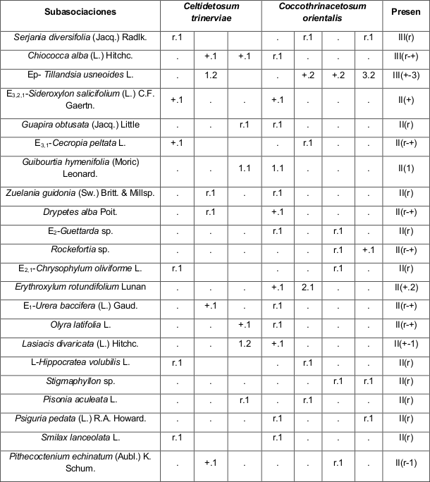 Asociación Plumerio
obtusae-Burseretum simarubae.