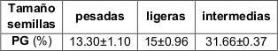 Porcentaje de germinación PG (media ± error estándar) en semillas de E. contortisiliquum clasificadas por
tamaño.